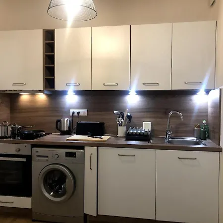 Lägenhet Cosy Entre Gare Et Petite France Strasbourg