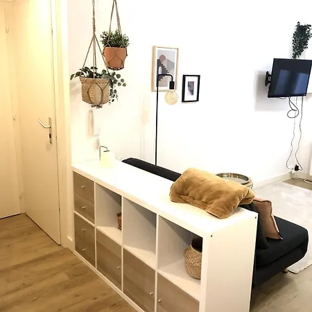 Lägenhet Cosy Entre Gare Et Petite France