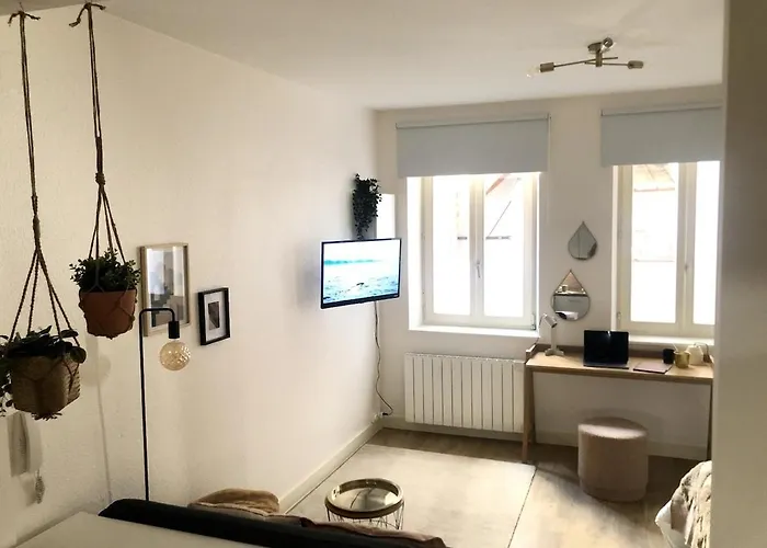 Cosy Entre Gare Et Petite France *